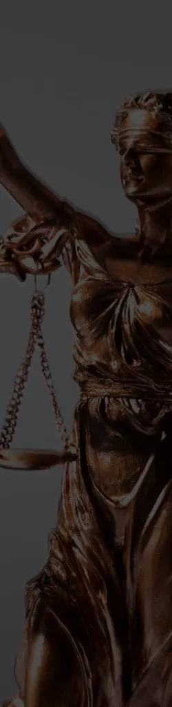 Picture of Lady Justice, symbol of lawyers and justice